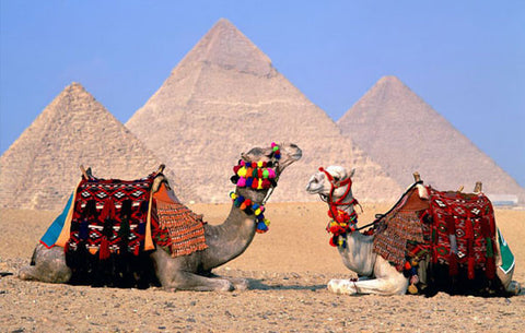 Cairo - Egypt